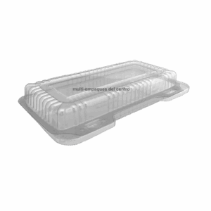 Contenedor 22x12x4 cm