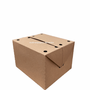 Caja Kraft Grande con Respiradero