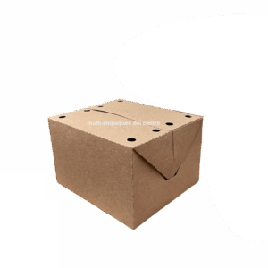 Caja Kraft Mediana con Respiradero