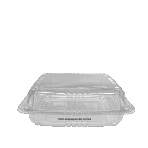 Contenedor 20×17 cm